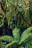 37037_thumb.png