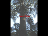 img0005_thumb.png