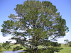 img0024_thumb.png