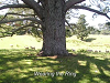 img0026_thumb.png