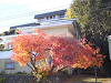 img0001_thumb.png