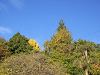 img0010_thumb.png