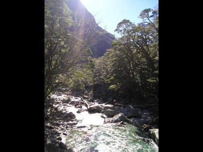 img0010.jpg